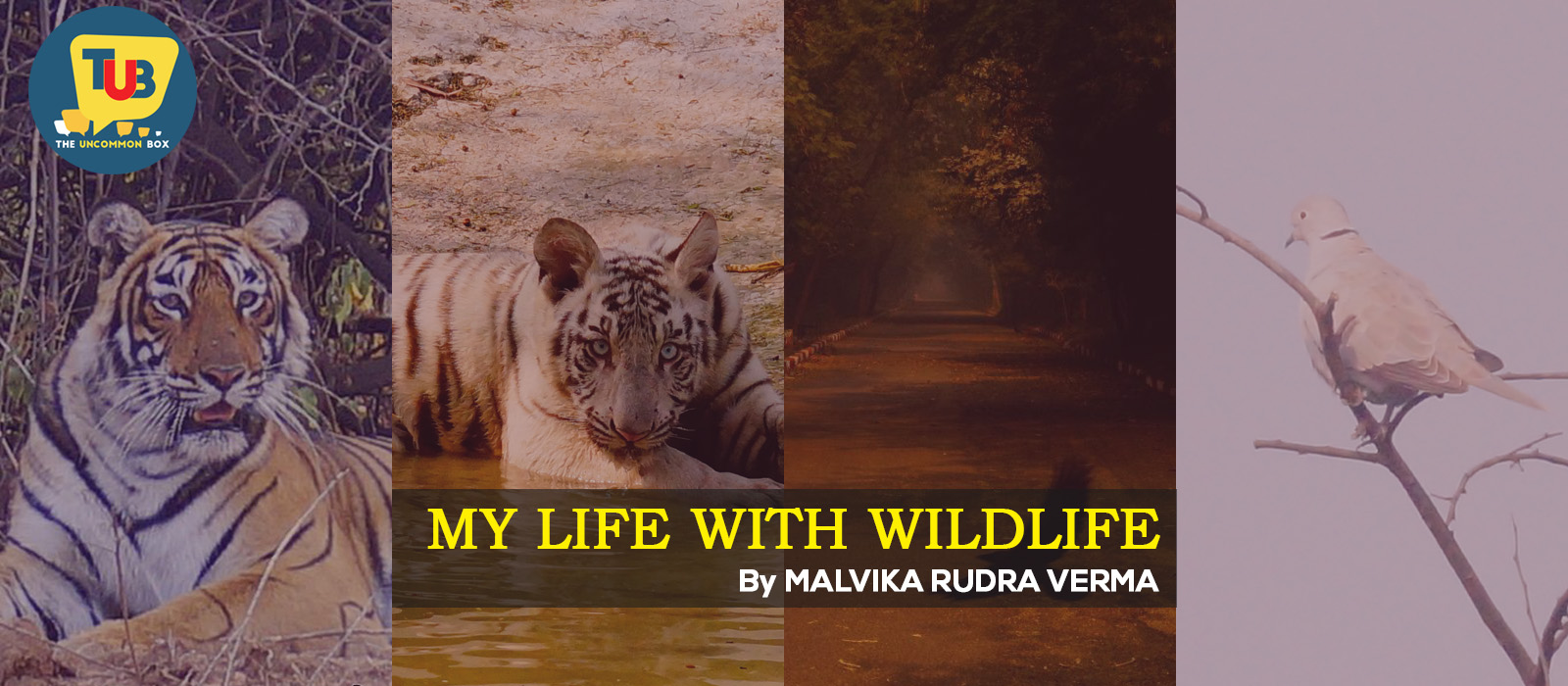 My Life With Wildlife by Malvika Rudra Verma