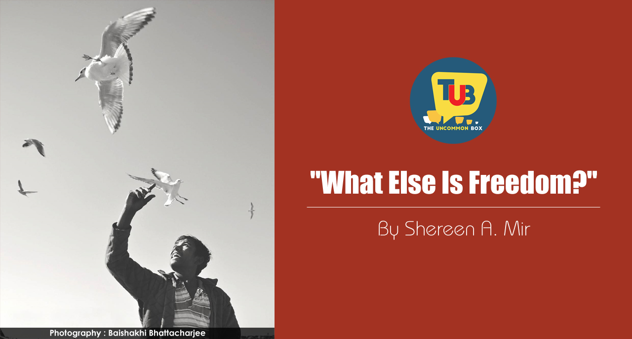 What Else Is Freedom?