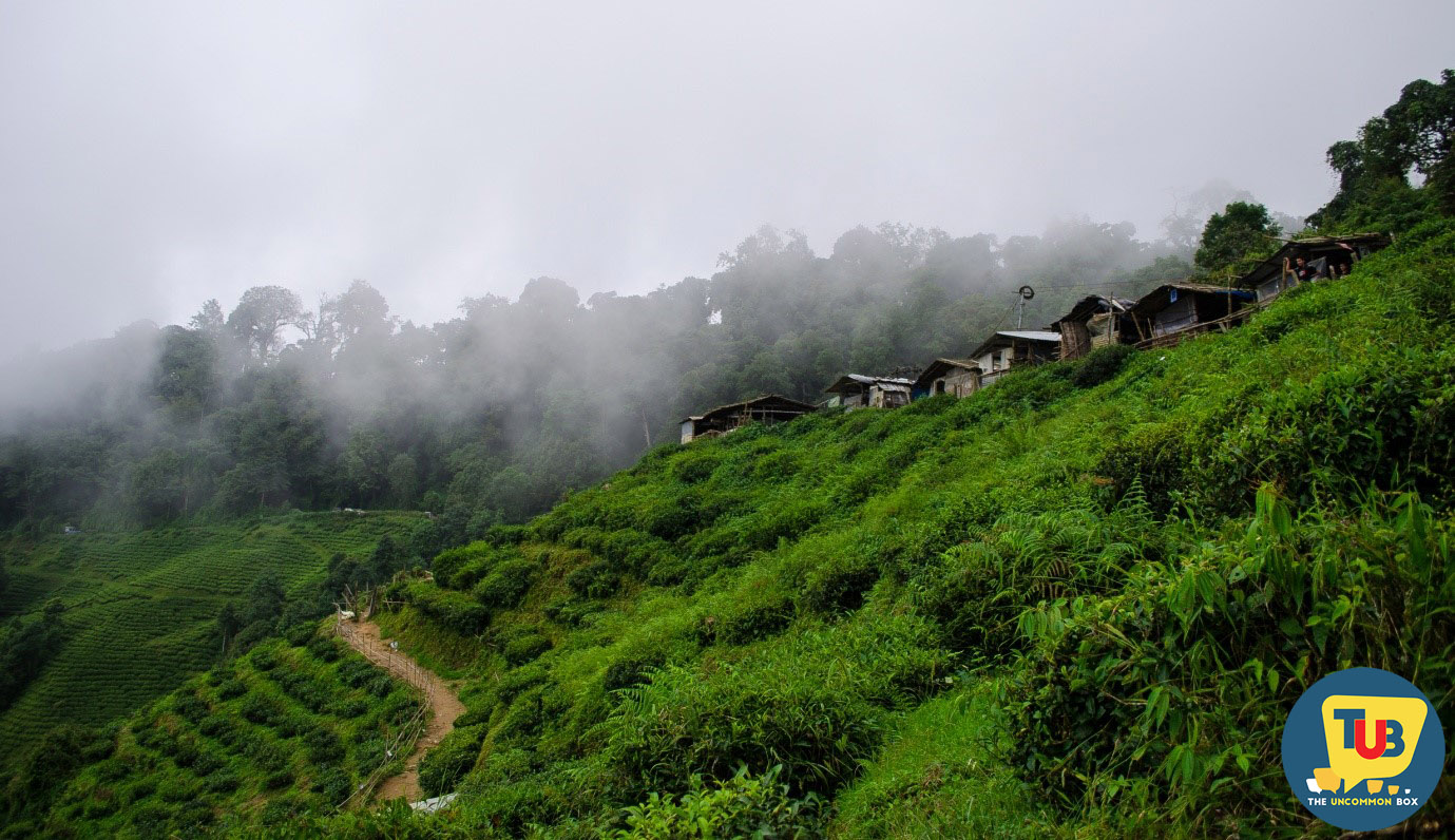 Travelling in Echoes Of The Queen Of Hills- Darjeeling