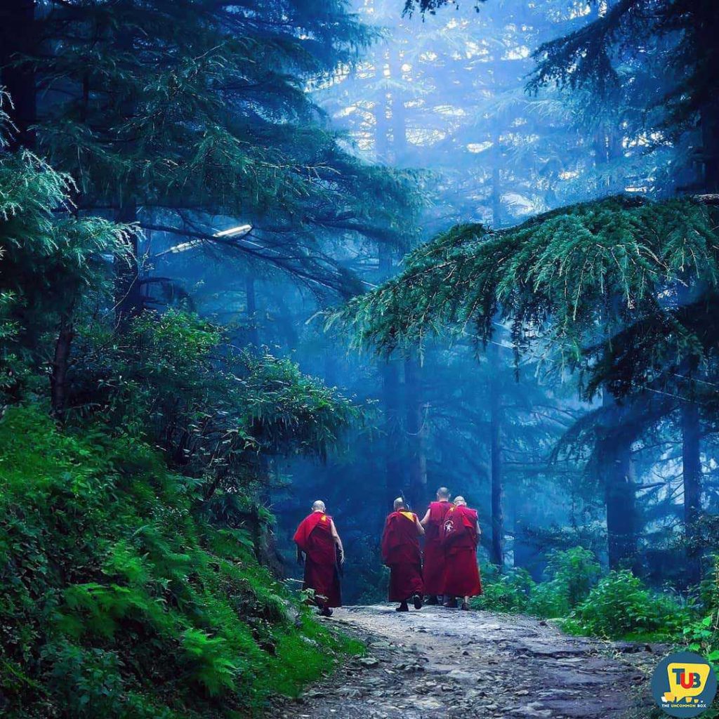 30 Beautiful Pictures Which Defining Heaven In Himachal Pradesh - Curated By Instahimachal
