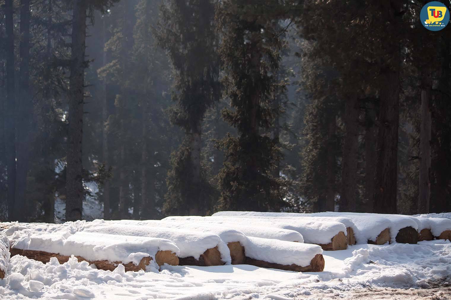 Walk Through Kashmir - A Heaven On Earth