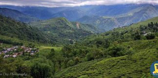 A Mysterious Town of Darjeeling – Kurseong A Mysterious town of Darjeeling – Kurseong