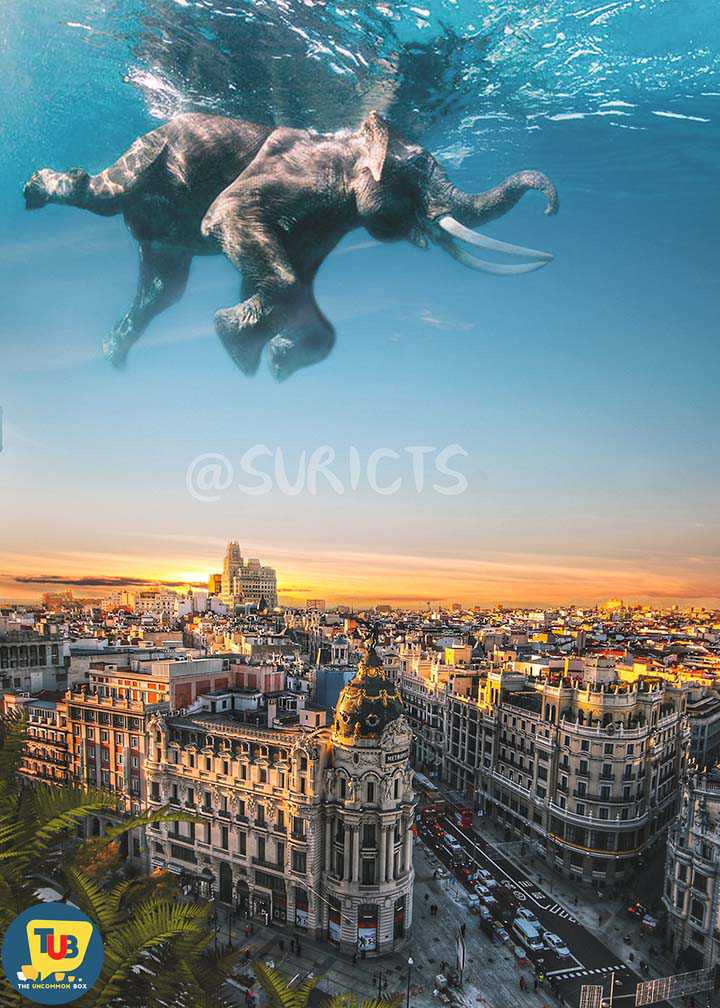 Suricts – A Surreal Digital Manipulation Artist